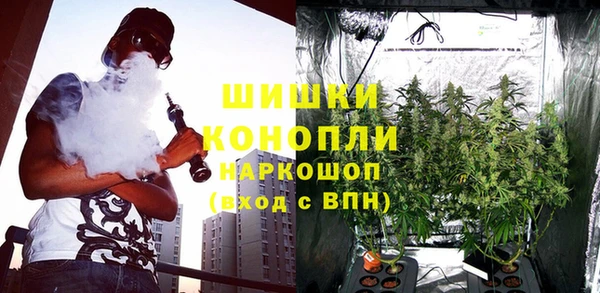 гашик Аркадак