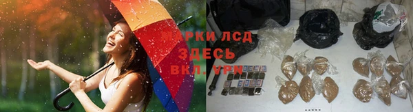 шишки Армянск