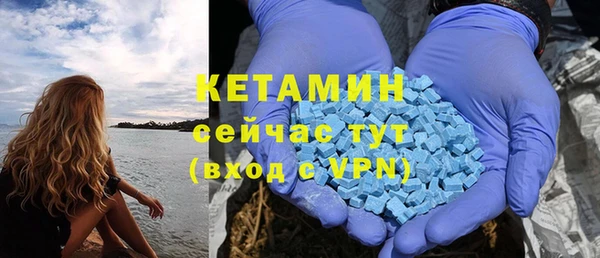 шишки Армянск