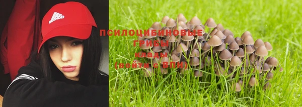 гашик Аркадак