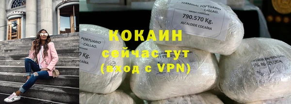 шишки Армянск
